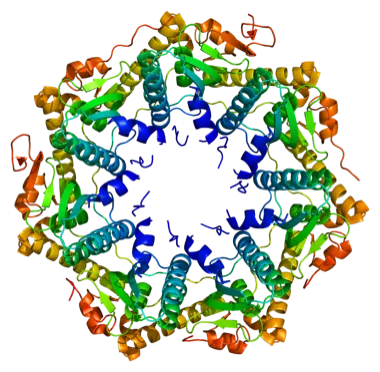 Hidden Markov Models for fast protein kinetics · 2023